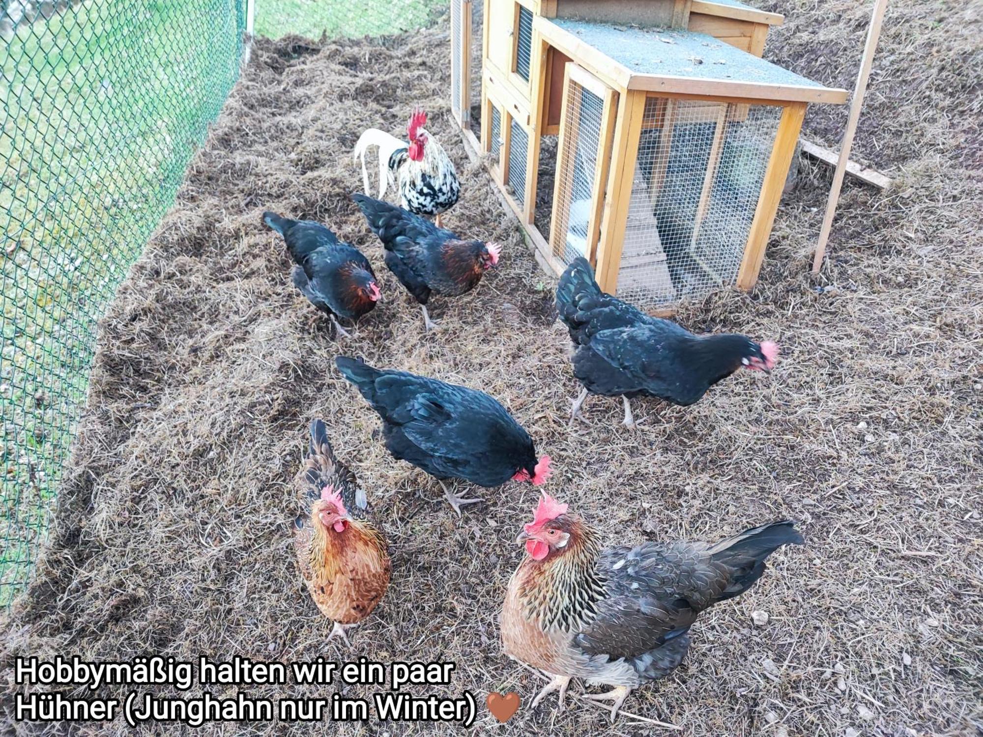 Ferienwohnung Look Wide Oberelsbach Εξωτερικό φωτογραφία